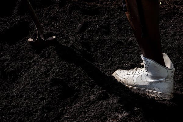 A white sneaker in a pile of dirt with a shovel.