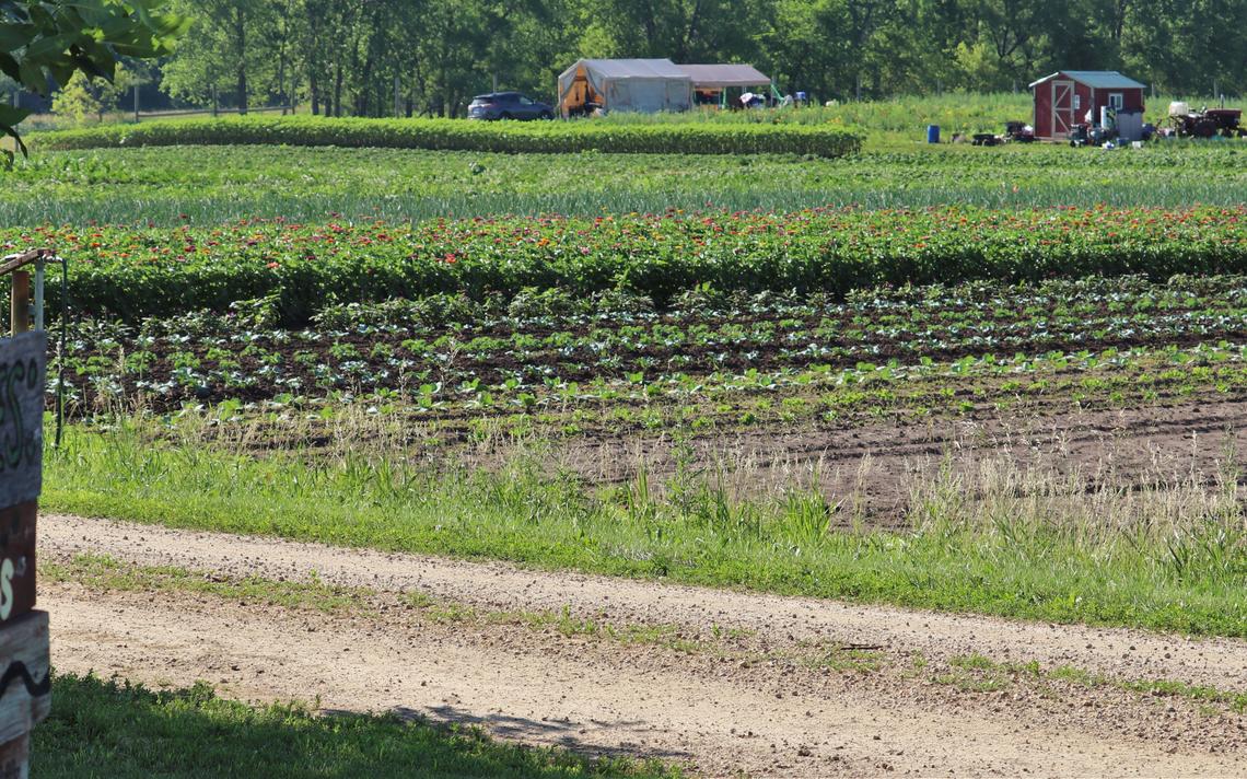 The HAFA Farm, acquired in 2013, is 155-acre research and incubator farm located in Dakota County, just 15 minutes south of Saint Paul, Minnesota.