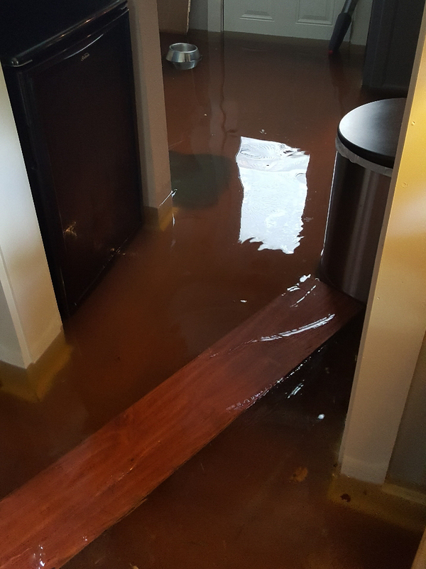 A 2016 rainstorm flooded the family home in Baton Rouge that Tracey and Tramelle Neldare had just finished renovating.