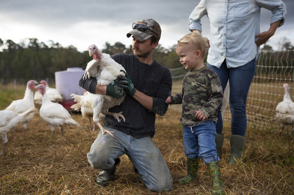 Joe Shenk holds a turkey for his son, Mason, to pet in the open-air enclosure on their farm. "They're not very smart, but they make up for that by being really friendly and interesting," Shenk said about the turkeys.