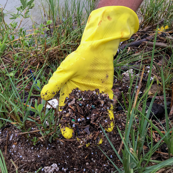 Ronnie Hamrick pulls up the dirt near the Formosa Plastics plant showing dozens of pellets trapped in the mud. Fish and birds often eat the pellets, thinking they are eggs.