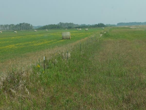 a fence in grassy fields 