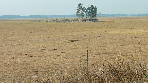a field of brown grass