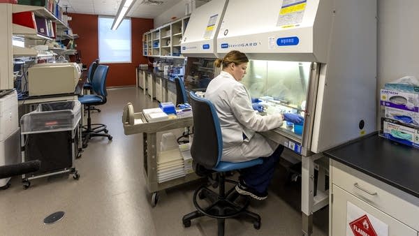 Technician looks at samples in a lab