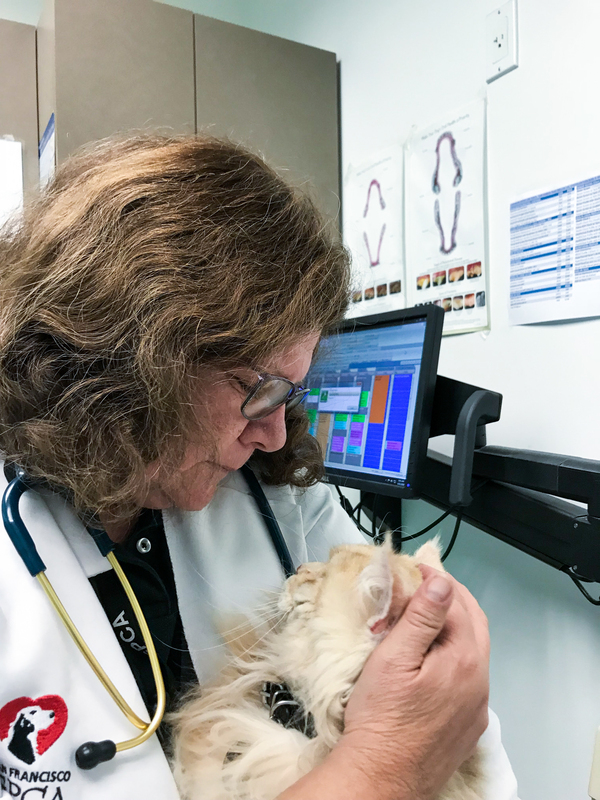 Veterinarian Kathy Gervais works 12-hour days not only caring for animals, but also helping humans emotionally cope with a sick pet.