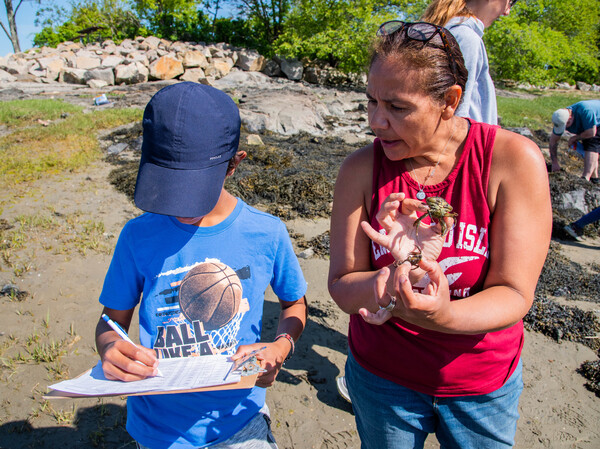 A young volunteer (left) works with Dr. Gabriela Bradt (right) to collect data for The Great Green Crab Hunt, a citizen science monitoring project.