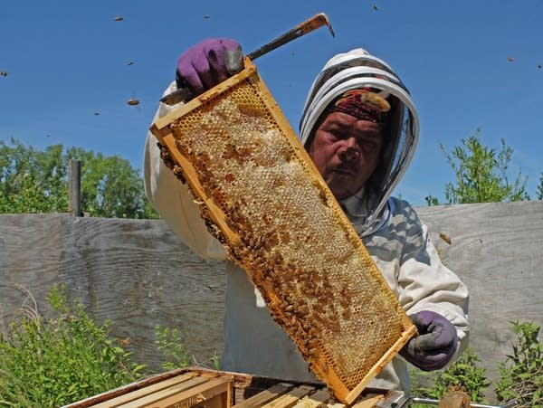 a man holds a wooden frame of honey comb