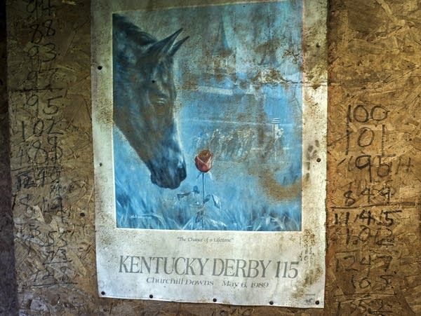 A dust covered poster on the wall of the processing shed