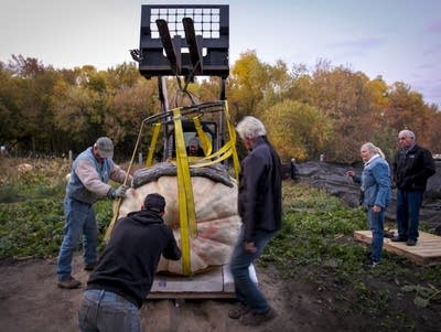 People gather to watch and assist with the transport of giant pumpkin 