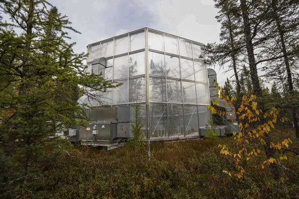 the SPRUCE experiment