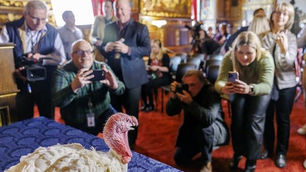 Media members take pictures of Thanksgiving turkey