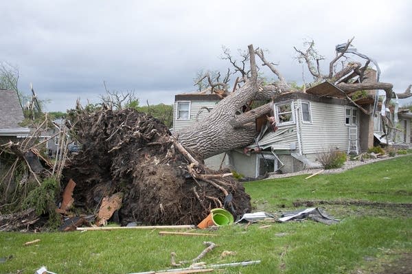 A fallen down tree crushing a house.