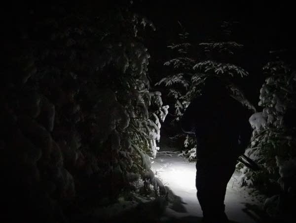 A silhoutte of a man walking at night with a headlamp
