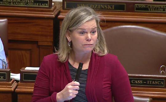 During a House floor debate, Rep. Anne Neu Brindley, R-North Branch, said the stabilization grants didn’t do enough to stem losses in family child care providers.