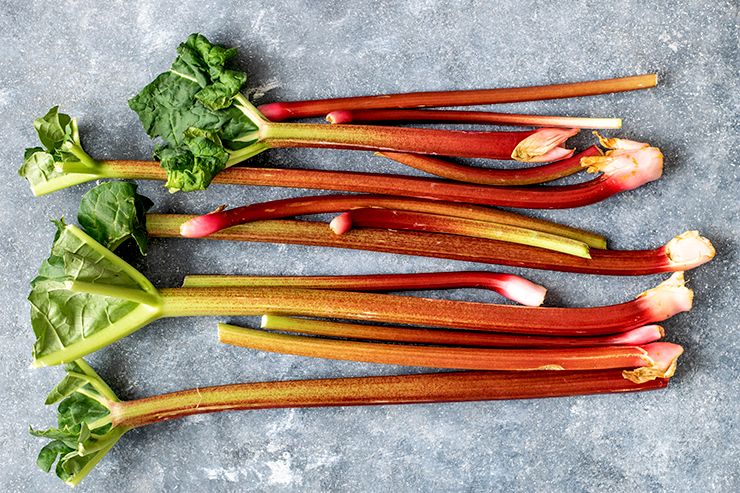 Rhubarb season typically begins in spring and can be harvested until the end of June.