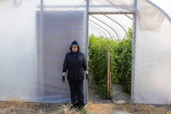 Sofia Madrigal is one of three women at Schreiber Farms who declined to pick asparagus this year. Limited to 48 hours a week, the women decided it didn't make sense for them to commit to working seven days a week as required during the asparagus season.