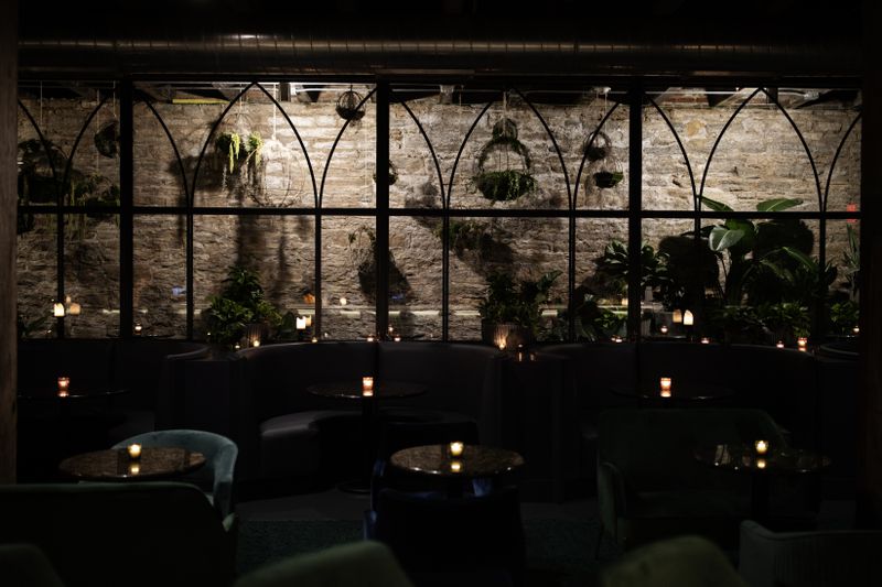A low-lit room with dark booths and hanging plants in front of a brick wall. 
