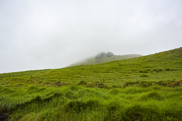 Mist lingers over the rolling hills of Waimea.