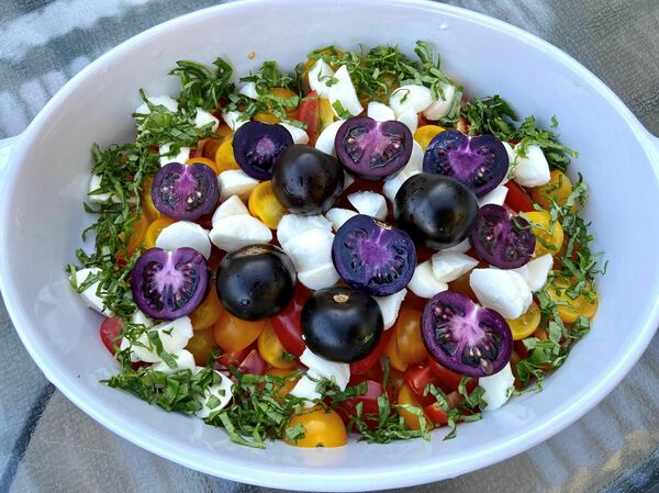 A caprese salad prepared with Norfolk's Purple Tomato. The tomato was created using genes from a snapdragon.